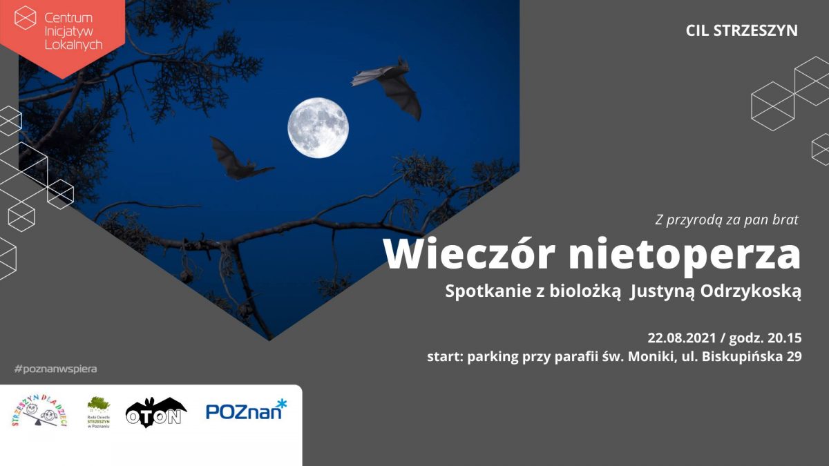 wieczór z nietoperzami