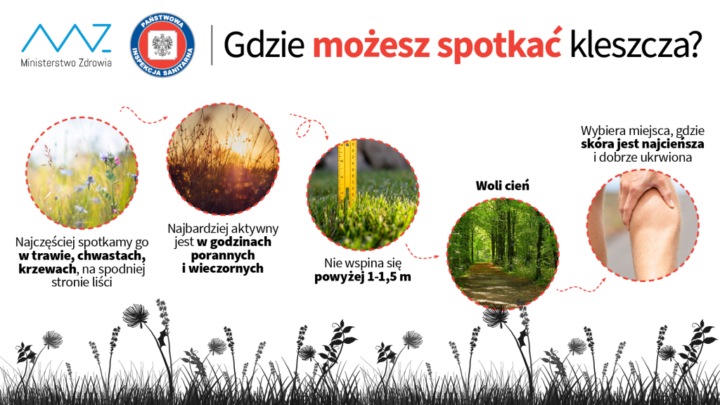 Gdzie można spotkać kleszcze