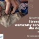 CIL Strzeszyn - Strzeszyńskie warsztaty ceramiczne dla dorosłych
