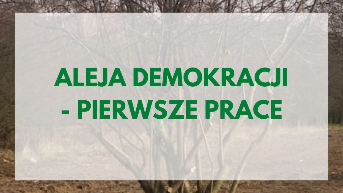 Aleja demokracji - pierwsze prace